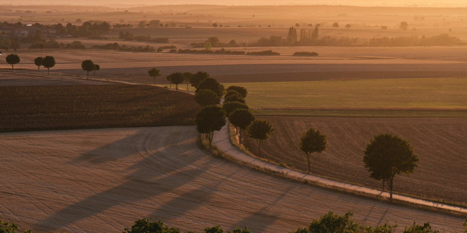 Apprentissage en BTSA DATR : Contrat et Organisation