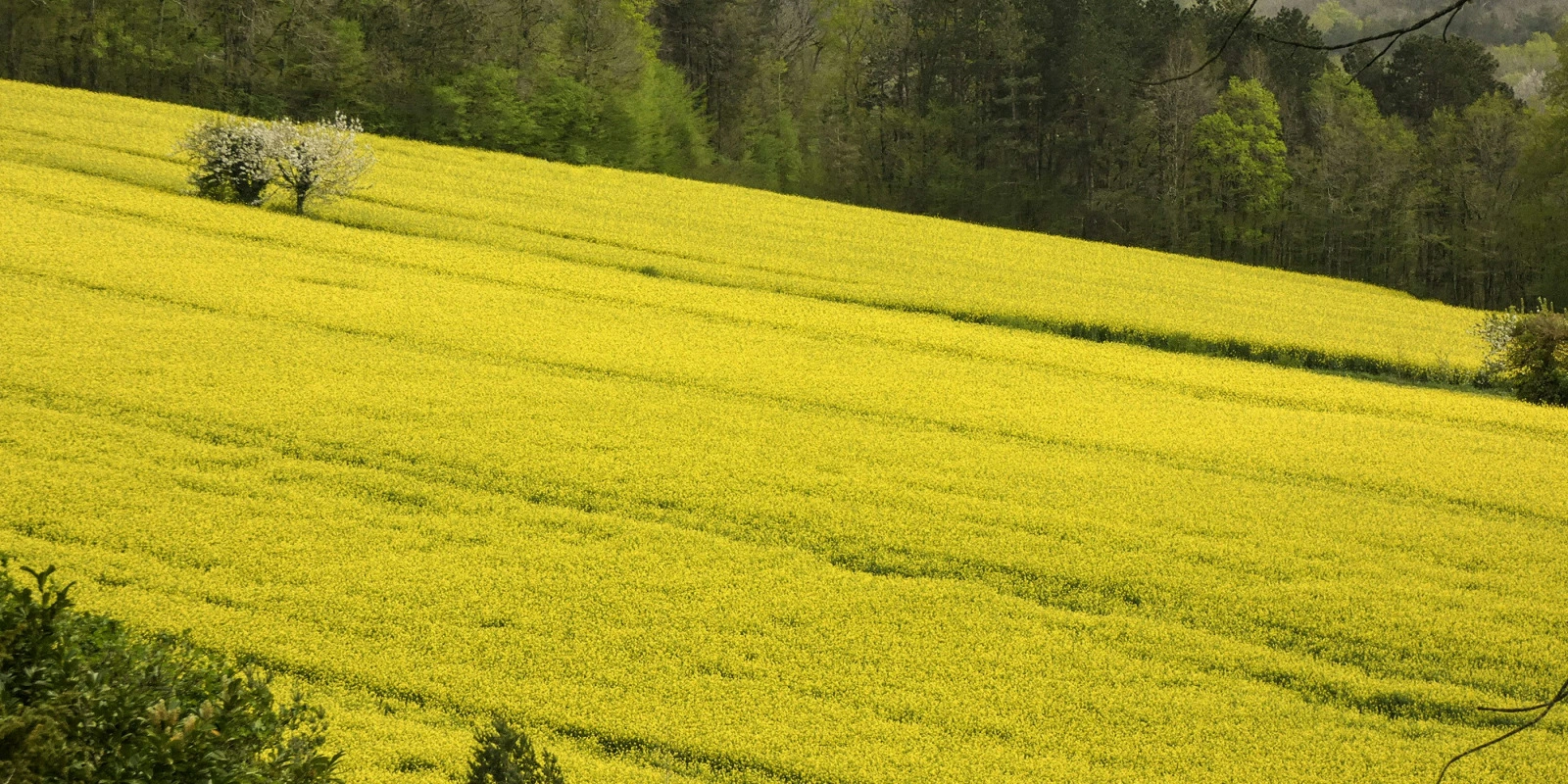BTSA DATR : Les Meilleures Stratégies pour Réussir l'Épreuve E6