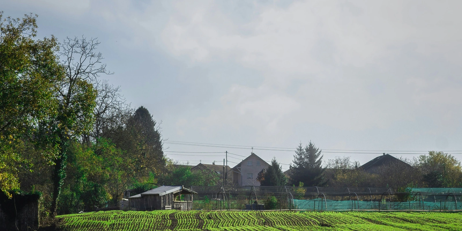 BTSA DATR : Poursuite d'Études et Licences Professionnelles